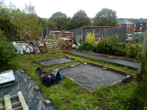 HOME and GARDEN, Newcastle - Allotment Clearing Photo